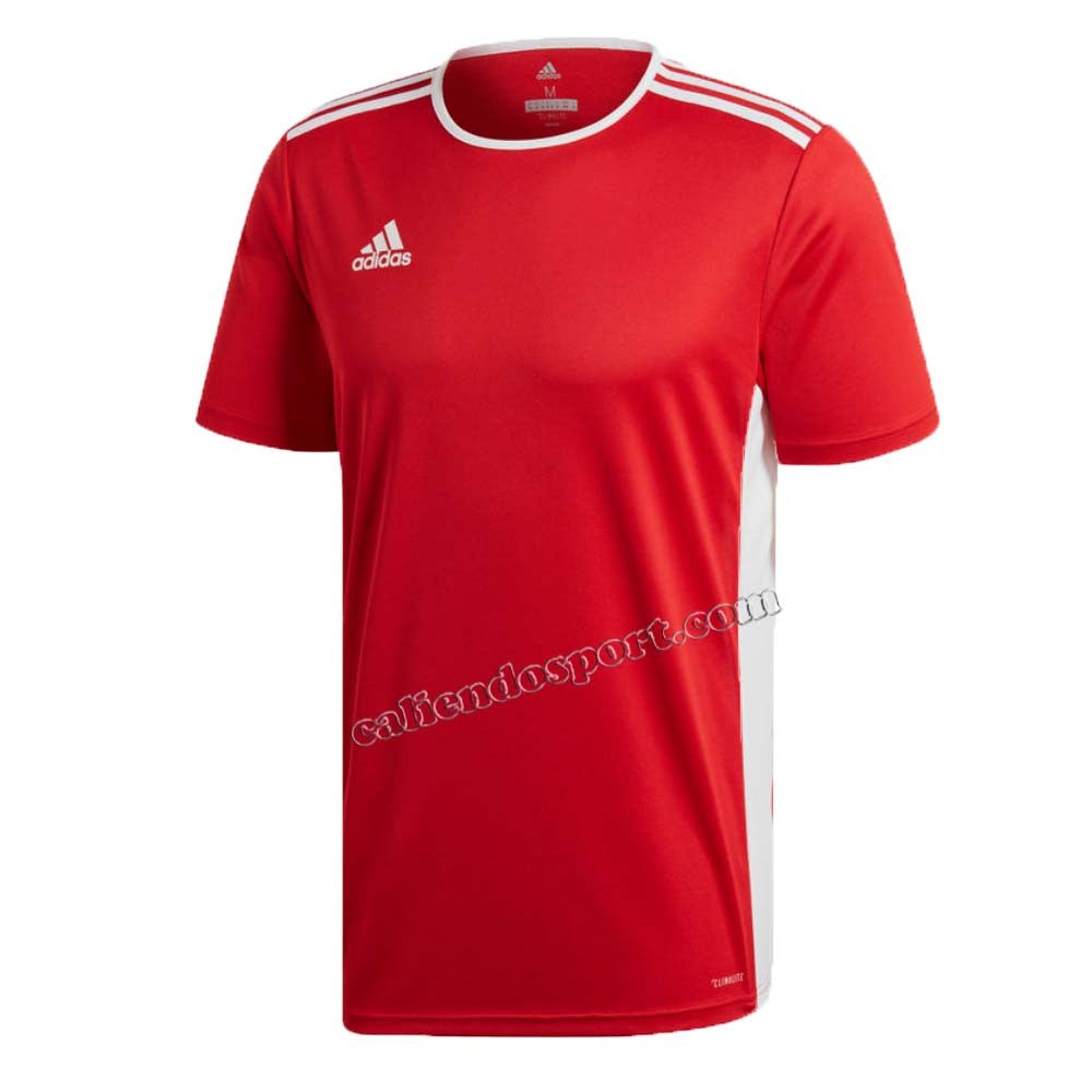 T-SHIRT ADIDAS ENTRADA18 CLIMALITE VARI COLORI SPORT