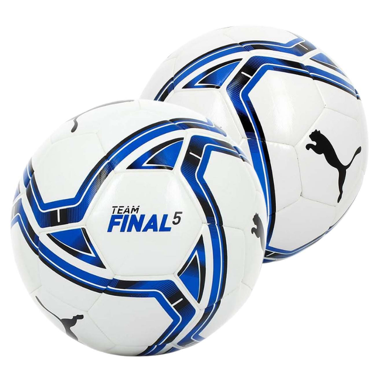 PALLONE PUMA 083309 03 TEAM FINAL 5