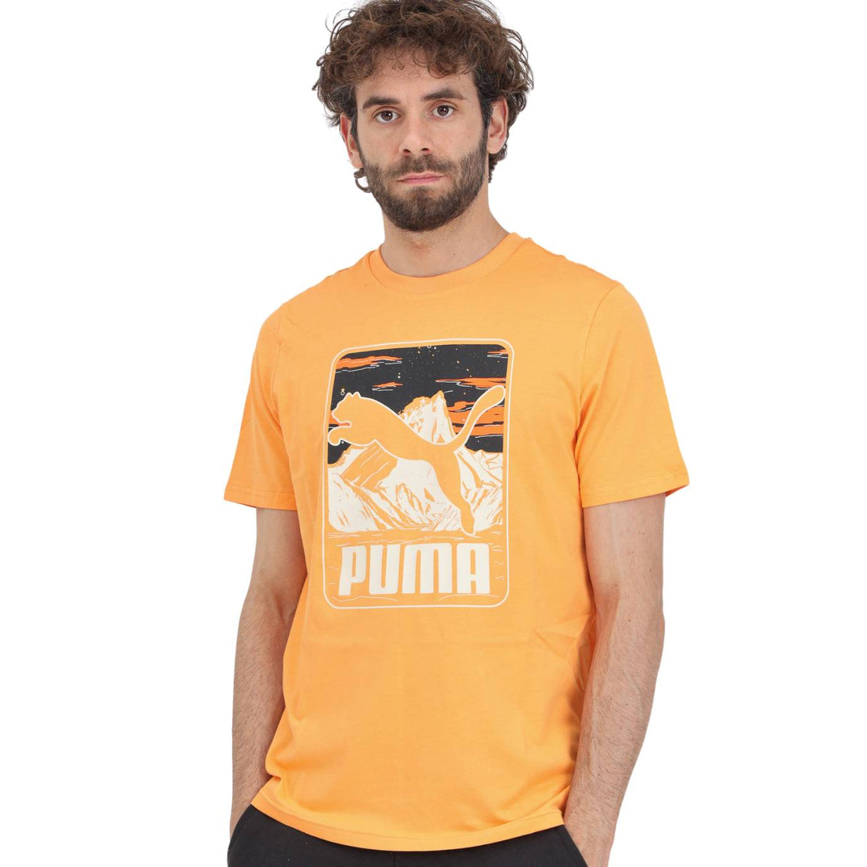 T-SHIRT PUMA 680172 91 GRAFHIC SUMMER COTONE