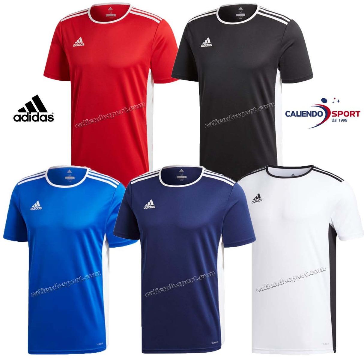 T-SHIRT ADIDAS ENTRADA18 CLIMALITE VARI COLORI SPORT