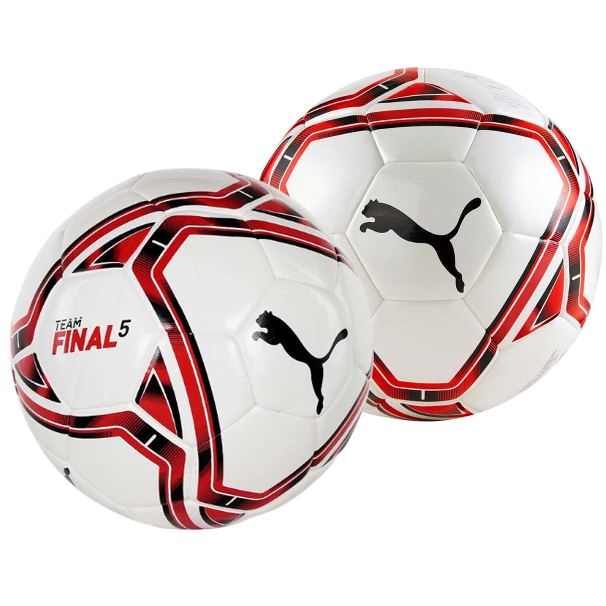 PALLONE PUMA 083309 02 TEAM FINAL 5