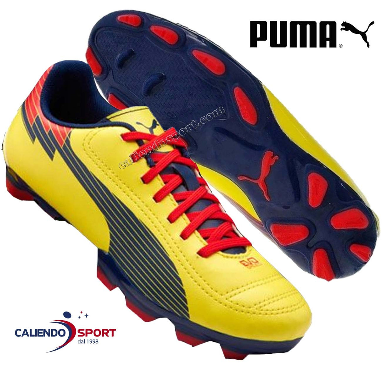 PUMA 102743 04 YELLOW SPORT EVO SPEED 6 FG FOOTBALL BOOT